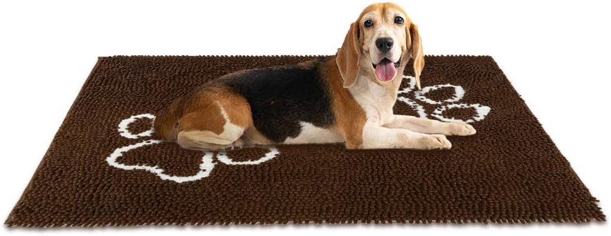 absorbent doormat for dogs