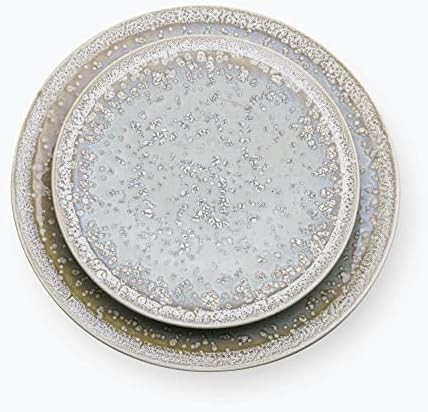 Rosa FM dinner set 24 pcs Ice Gray-Coup Reactive Dessert Plates