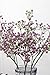 Crt Gucy Artificial Flowers 9Pcs 21