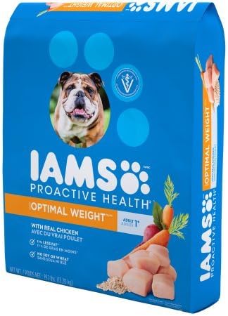 skyline agility club