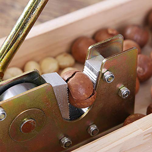 Heavy Duty Nut Cracker,Nutcracker Walnut Cracker Walnuts Macadamia