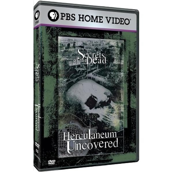 Secrets of the Dead: Battle for the Bible [DVD](中古品) Amazon.com: Secrets of the Dead: Battle for the Bible : Liev