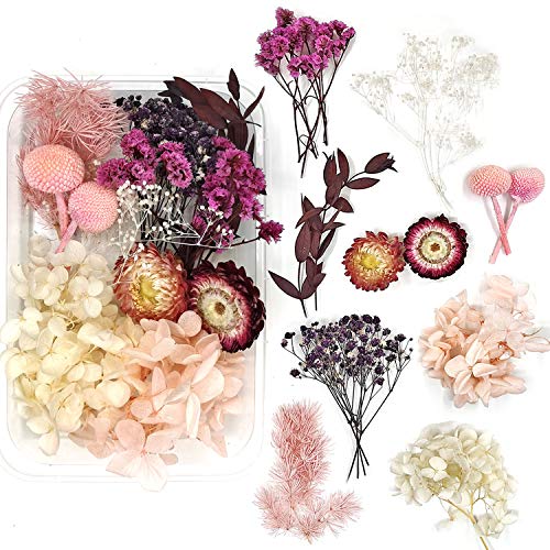 Real Natural Dried Flowers for Art Craft Mixed Multiple Colorful Dried