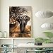 DIY 5D Diamond Painting Kits for Adults Full Drill Embroidery Paintings Rhinestone Pasted DIY Painting Cross Stitch Arts Crafts for Home Wall Decor 30x40cm/11.8×15.7Inches（Elephant