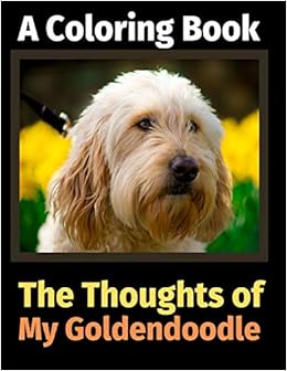 my goldendoodle
