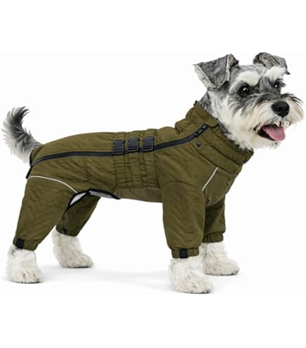 Amazon.com : FouFou Dog 62554 Bodyguard Protective All-Weather Dog