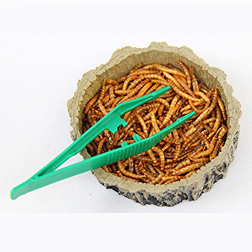 5pcs 12cm Reptile Terrarium Plastic Tweezers Tool Set Tongs Feeding Durable Forceps