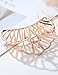 ACCGLORY Metal Claw Clip Vintage Hair Clamp for Hair Women Girls Hair Accessories Rose Gold Hair Jaw Clip 1 Count (Fan-Rose Gold)