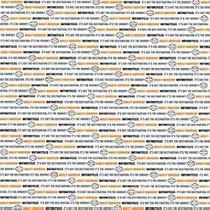 Davidson essay image