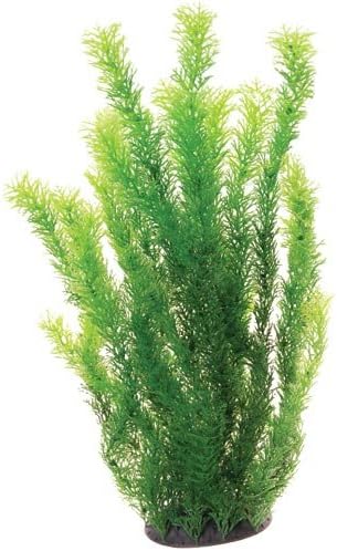Underwater Treasures 20768 Cabomba, 20"