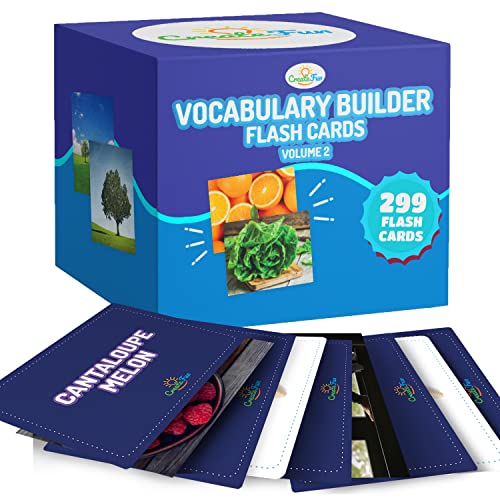 Vocabulary Builder Flash Cards Vol 2 300 Photo Cards with Learning