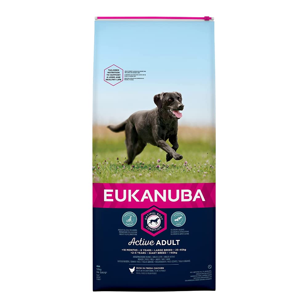 Eukanuba Adult Dog Food For Large Dogs Rich In Fresh Chicken For the Optimal Body Condition of Your Dog, 12 kg