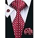 Hi-Tie Mens Red Polka Dots Silk Tie Pocket Square Cufflinks set