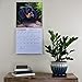 Dachshunds 2018 16 Month Wall Calendar 12 x 12 inches Bright Day Calendars Publishing
