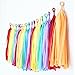 Tissue Paper Tassel DIY Party Garland Decor for All Events & Occasions - 20 Tassels Per Package (Rainbow)