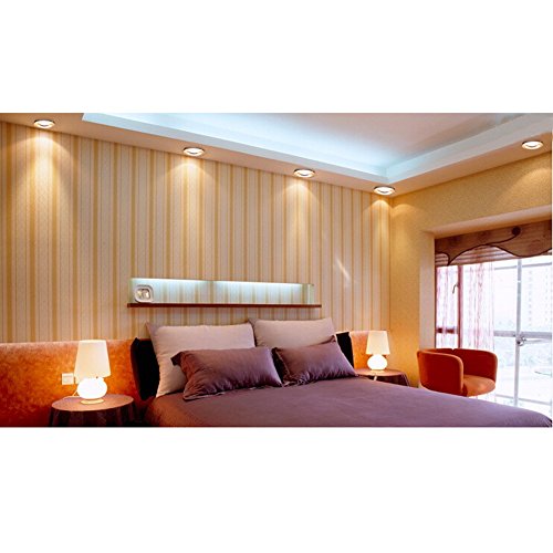 Elitlife 5Pack COB Mini Closet Lights with the 3W light bulb Rose gold Cabinet Light ceiling light fixtures For wine cabinet/cabinet/Closets/showcase /ceiling lighting (Warm White)