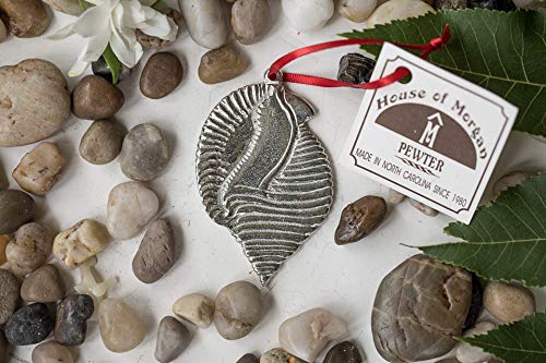 51LDQr4pWzL 51LDQr4pWzL