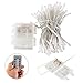 echosari Christmas String Lights 100 LEDs Outdoor LED Fairy String Lights Battery Operated with Remote Button Cell(Dimmable, Timer, 8 Modes) - Multicolor