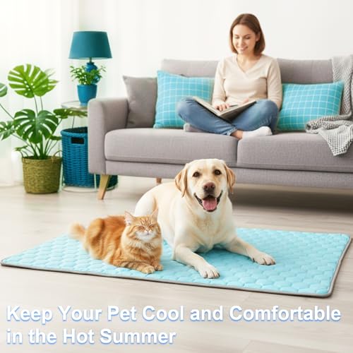 Vivifying Couverture rafraîchissante pour Chien 152 x 101 cm, Tapis réversible en Soie glacée avec Dos en Peluche Douce, Couverture d’été pour canapé, lit, Cage, Sol et Voyage (Bleu/Gris)