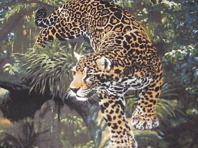 1 Yard - "Return to the Wild" Leopard Jungle Cotton Fabric (Great for Quilting, Sewing, Craft Projects, Throw Pillows & More) 1 Yard X 44"