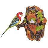 Velocity Toys Chirping & Dancing Bird- Color Vary - Motion Sensor