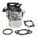 Fuerdi 593599 Carburetor for Briggs and Stratton Lawn Mover Accessories