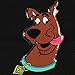 BDK Warner Brothers Scooby Doo Floor Mats for Car - Universal Fit, Looney Tunes Cartoon Design Auto Accessories