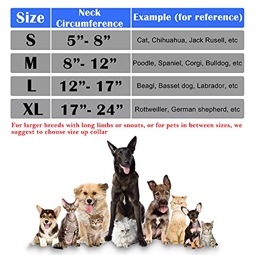 medium size dog cone