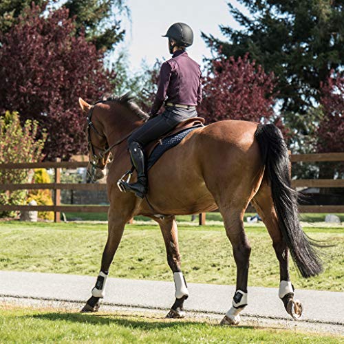 ELATION EuroSeat Breeches, Platinum Brooklyn Riding Breeches for Women, Thick Elastic High Waist w/Contrast Piping & Leather Knee Patch -Ladies Equestrian Riding Pants & Horse Show Breech (Navy, 36R) - Thumbnail 7