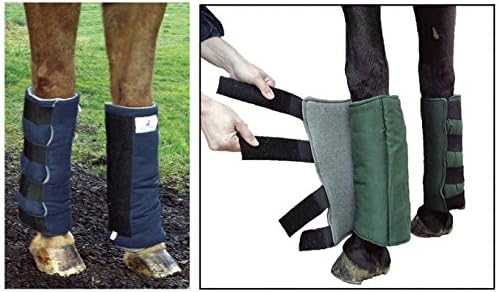 Cashel Cashelhorse-Wound-Care