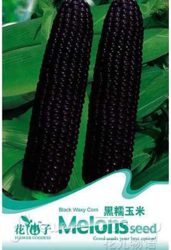 10 Seed Black Fruit Waxy Corn Seeds