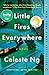 Little Fires Everywhere: A Novel by Celeste Ng