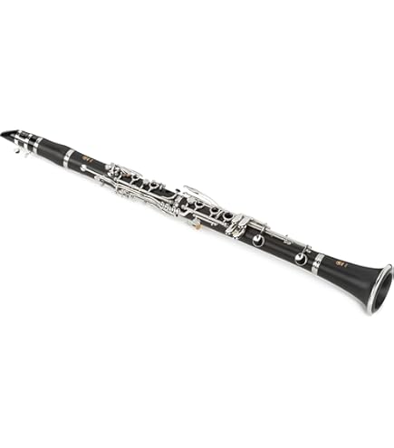 Amazon.com: Yamaha YCL-650 Professional Bb Clarinet with Silver