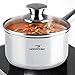 HOMI CHEF Mirror Polished NICKEL FREE Stainless Steel 1 QT(Quart) Sauce Pan with Lid (No Toxic Non Stick Coating, 5.5 Inch) - Mini Saucepan Cookware - Sauce Pot Handy Pot - Small Cooking Pot