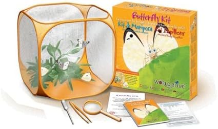 World Alive Butterfly Kit Amazon Co Uk Toys Games