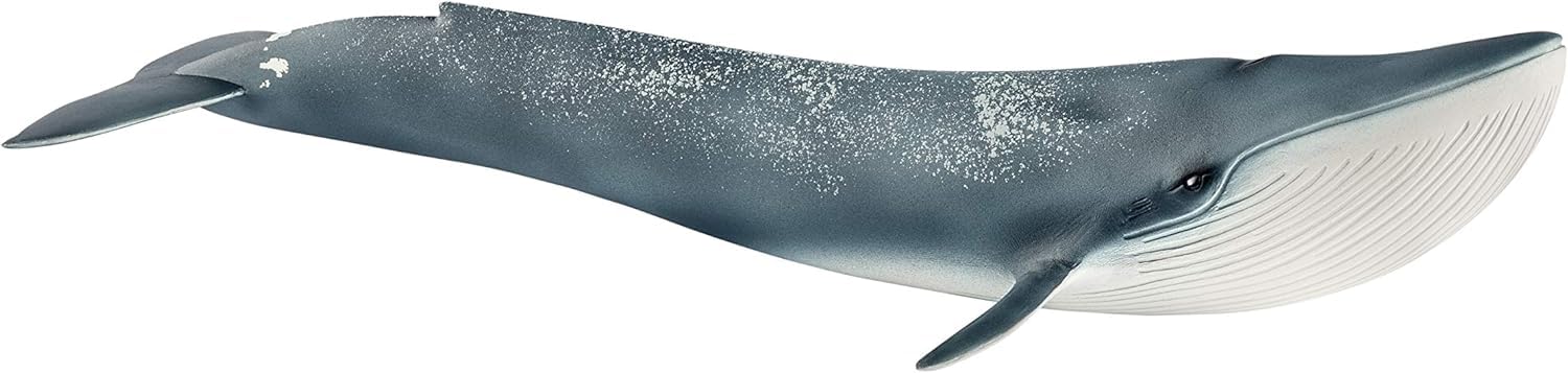 SCHLEICH 14806 Blue whale Wild Life Toy Figurine for children aged 3-8 Years