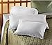 Bucky Millet Filled, Bed Pillow and Pillow Cover, Bolster Cover (6.5 x 16