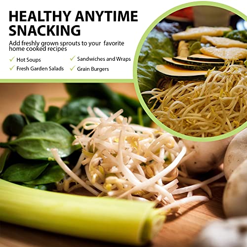 GARDENS ALIVE! Seed Sprouter Kit, Two Tier Stackable Seedling Starter