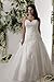 WeddingDazzle Applique Wedding Bridal Long Plus Size Wedding Dresses for Bride