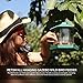 Bird Feeder By PetsN'all - Transparent, Hanging Bird Feeder in Hexagon Shape, Handles Up To 2.25 Lbs