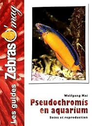 Pseudochromis en aquarium