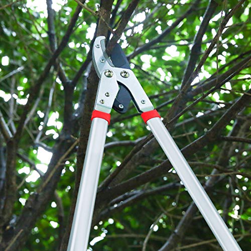 Terme Pruning Shears Compound Action Anvil Lopper Chops Thick Branches with Ease 2-Inch Cutting Capacity 30-Inch Tree Trimmer