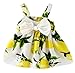 RJXDLT Baby Girls Sling Bowknot Lemon Print Skirt Dress 6-12 Months Yellow