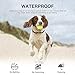 Spray Dog Training Collar – Spray Remote Bark Collar Trainer (Citronella Spray Not Included) 2 Modes 500 Ft Range No Electric Shock Rechargeable Adjustable Waterproof for Small Medium Dogsthumb 2