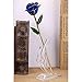 Long Stem Blue Rose Flower With Thorns Dipped in 24k Gold and Last Forever, Love To Her Packing Box (Blue)