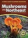 Mushrooms of the Northeast: A Simple Guide to Common Mushrooms (Mushroom Guides) primary