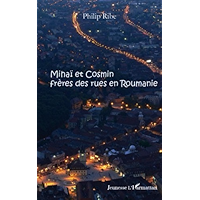 Mihaï et Cosmin, frères des rues en Roumanie (Jeunesse) (French Edition) book cover