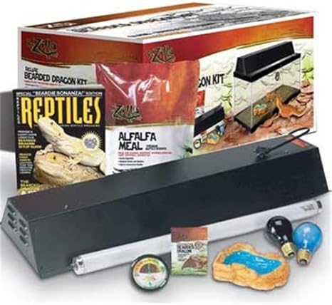 zilla bearded dragon kit