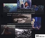 Image de The Art of Finding Nemo