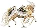 BREYER WINTER WONDERLAND - 2017 HOLIDAY CHRISTMAS HORSE - LIMITED EDITION
